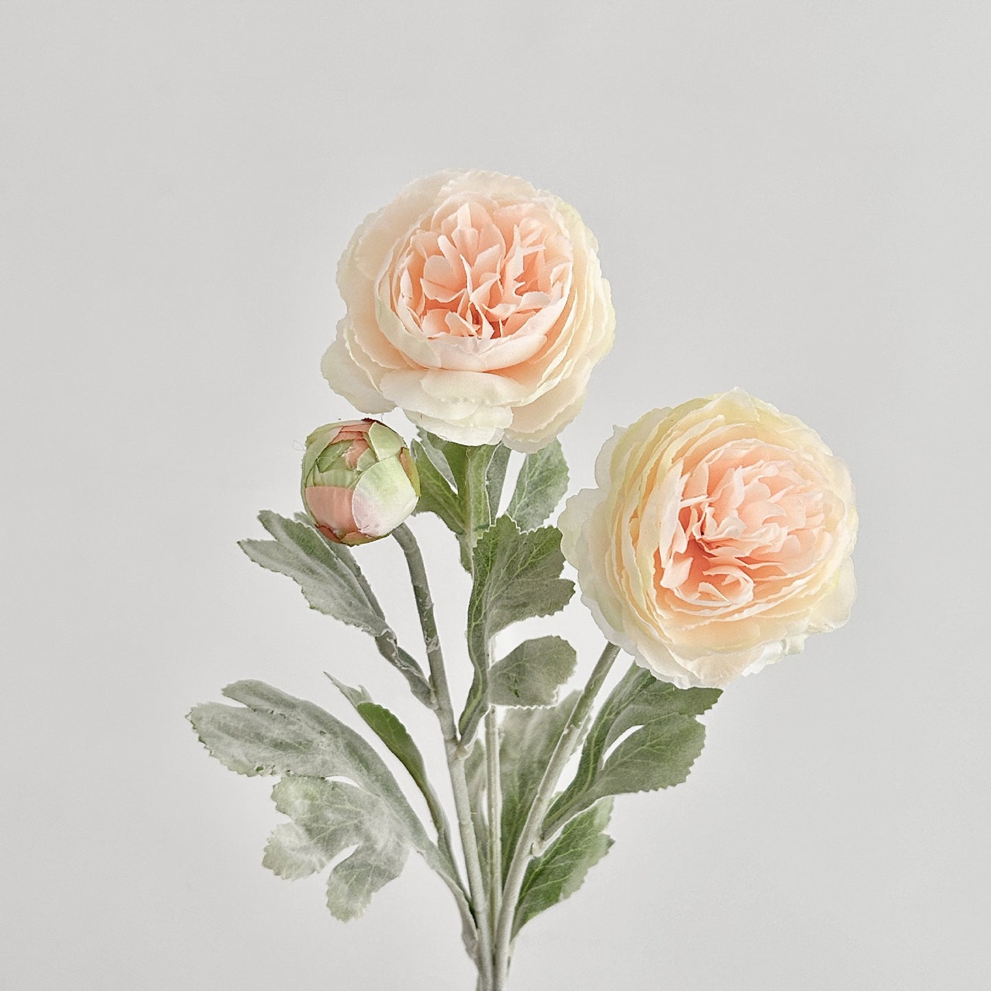 Artificial Silk Ranunculus Stem, 2 Blooms 1 Bud, 50cm, Vase Decor