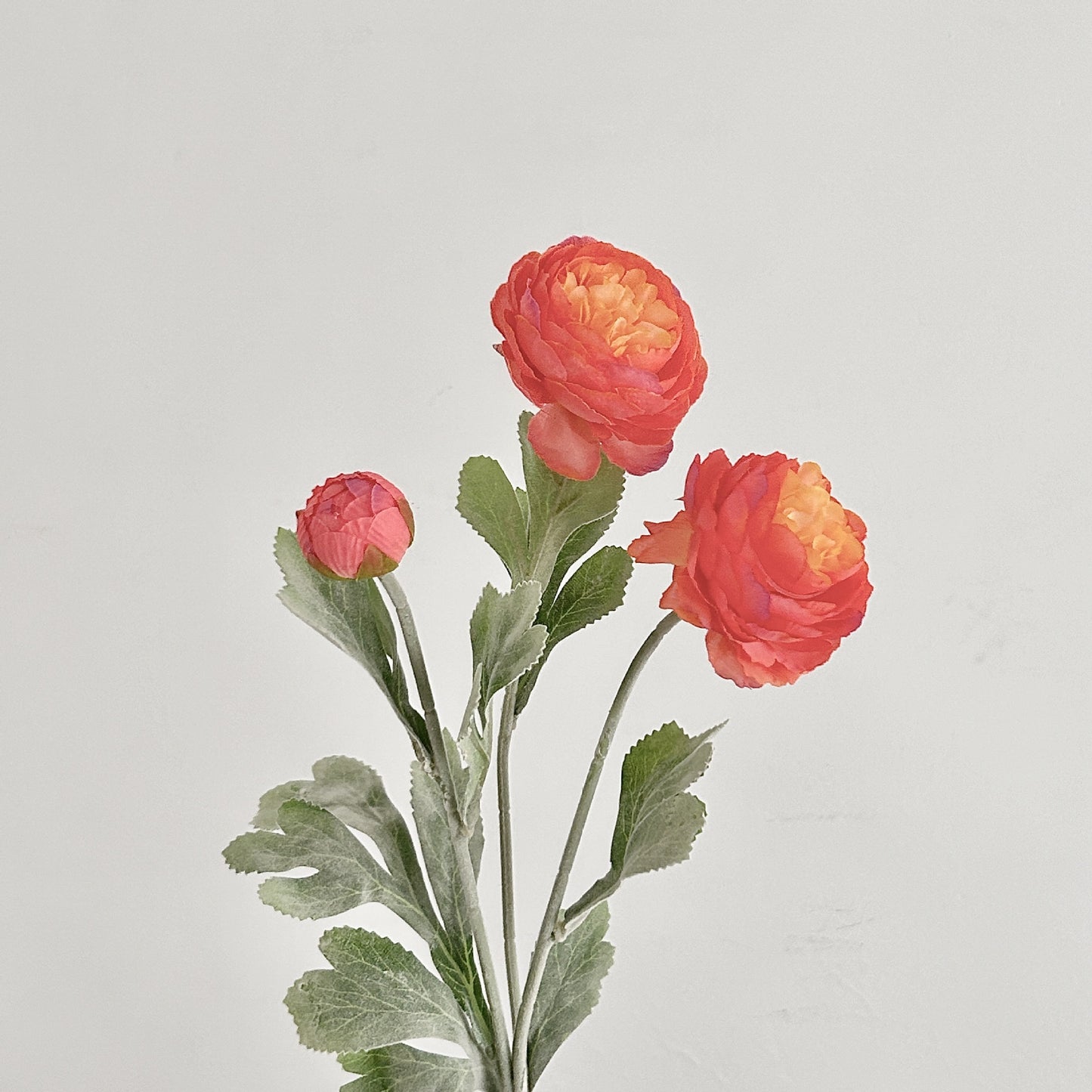 Artificial Silk Ranunculus Stem, 2 Blooms 1 Bud, 50cm, Vase Decor