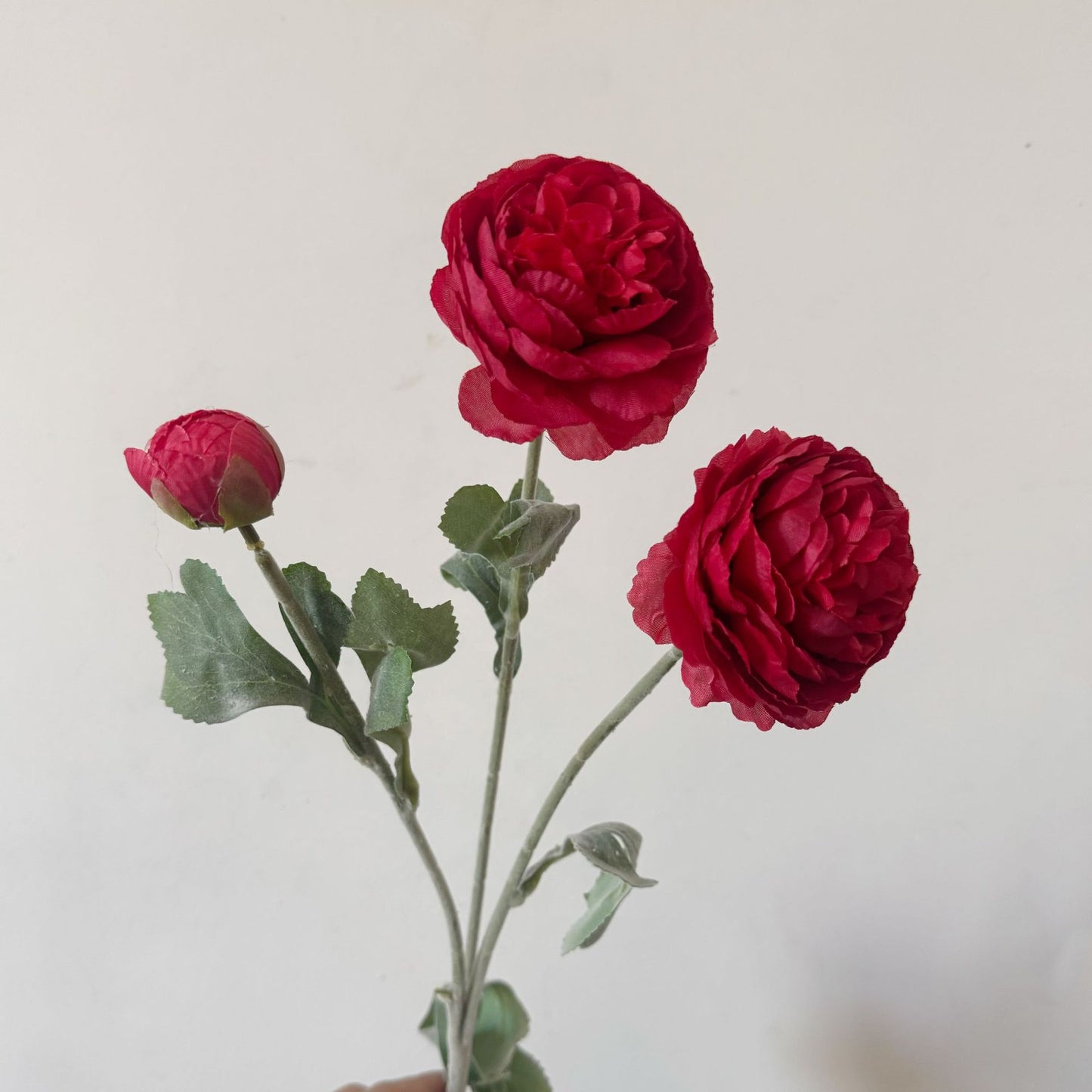 Artificial Silk Ranunculus Stem, 2 Blooms 1 Bud, 50cm, Vase Decor