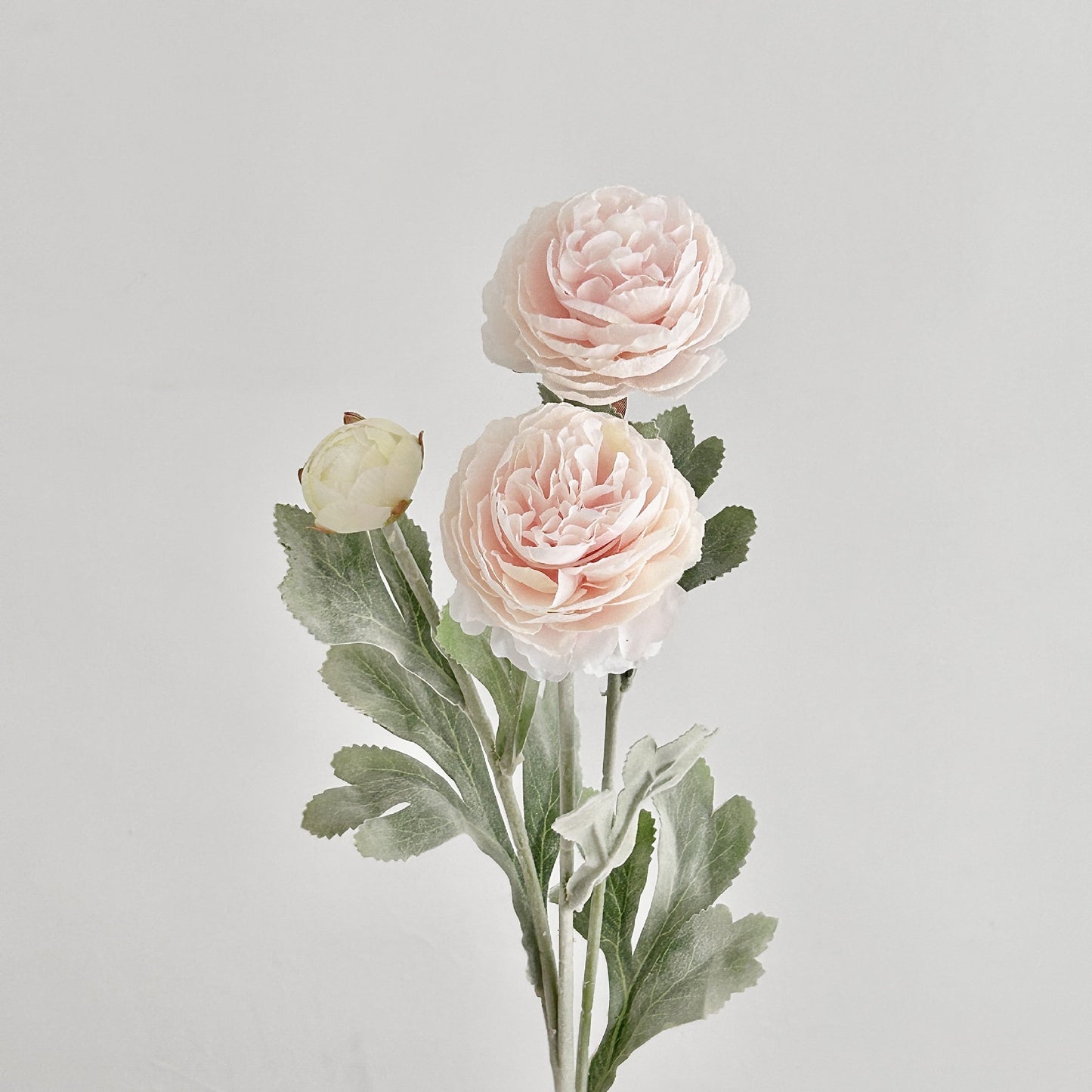 Artificial Silk Ranunculus Stem, 2 Blooms 1 Bud, 50cm, Vase Decor