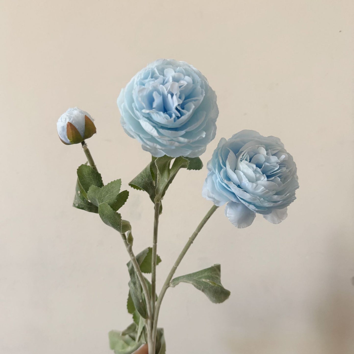 Artificial Silk Ranunculus Stem, 2 Blooms 1 Bud, 50cm, Vase Decor