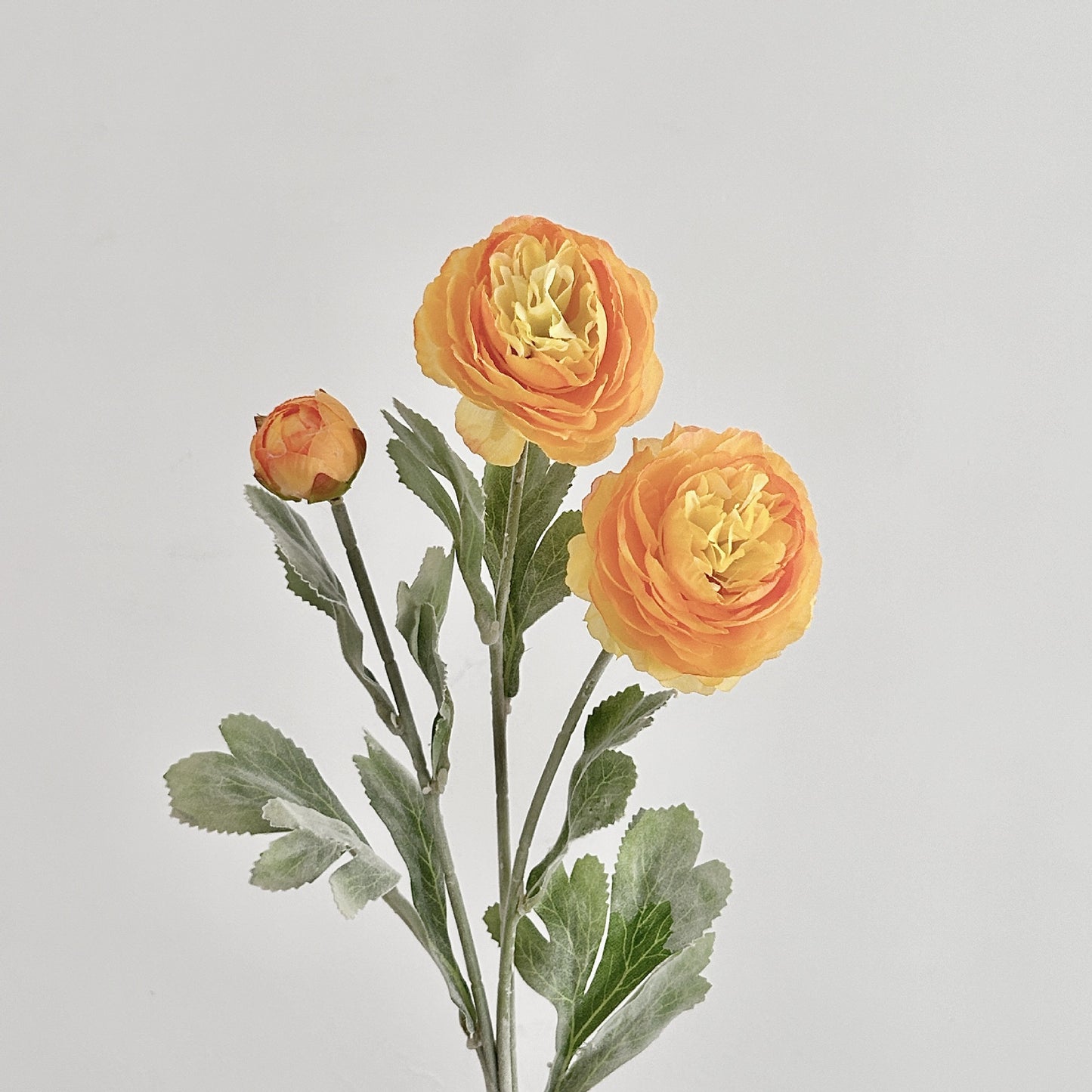 Artificial Silk Ranunculus Stem, 2 Blooms 1 Bud, 50cm, Vase Decor