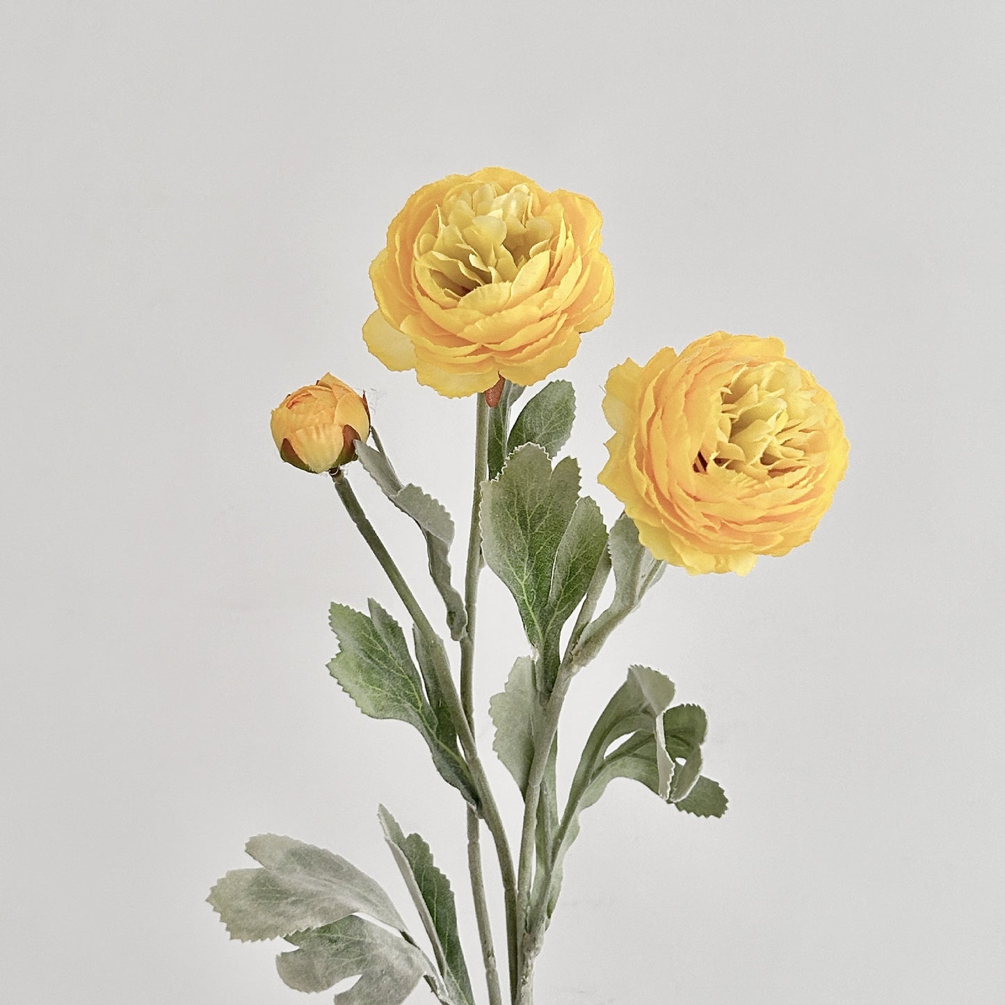 Artificial Silk Ranunculus Stem, 2 Blooms 1 Bud, 50cm, Vase Decor