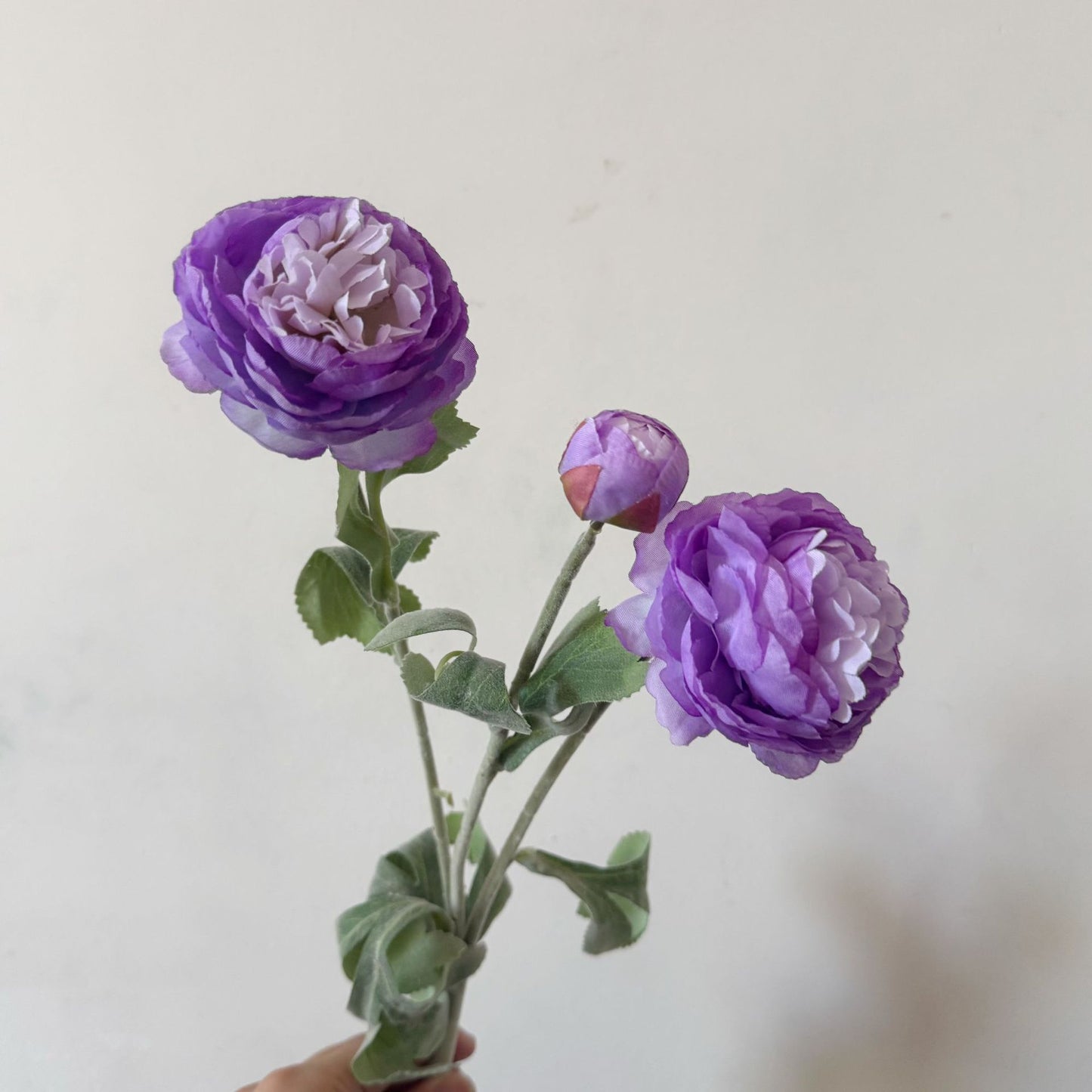Artificial Silk Ranunculus Stem, 2 Blooms 1 Bud, 50cm, Vase Decor