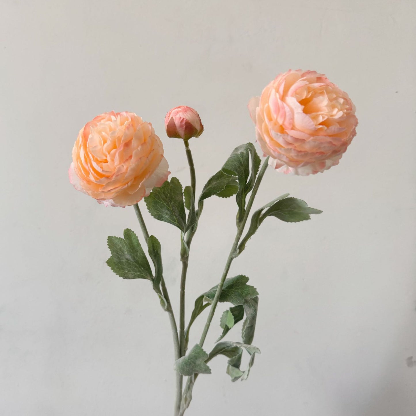 Artificial Silk Ranunculus Stem, 2 Blooms 1 Bud, 50cm, Vase Decor