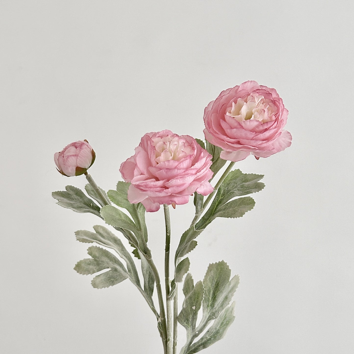Artificial Silk Ranunculus Stem, 2 Blooms 1 Bud, 50cm, Vase Decor