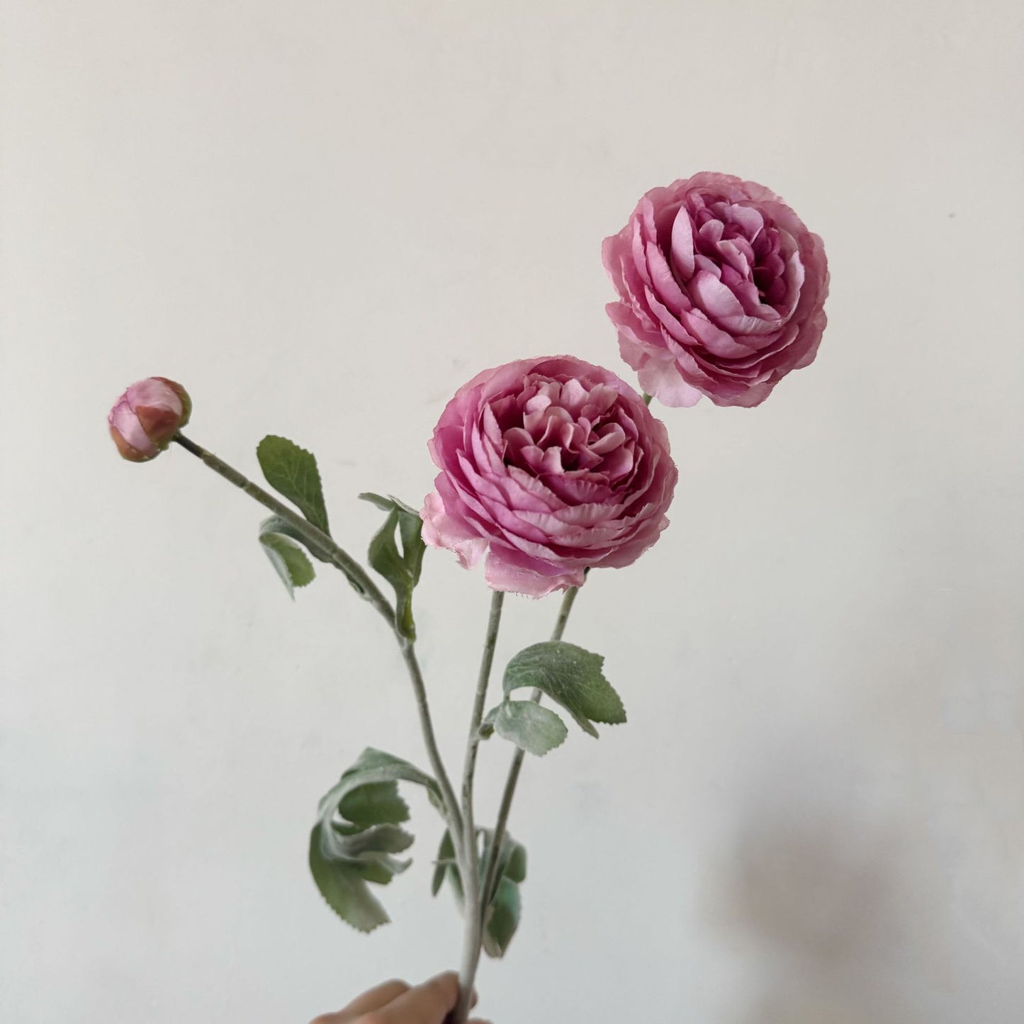 Artificial Silk Ranunculus Stem, 2 Blooms 1 Bud, 50cm, Vase Decor