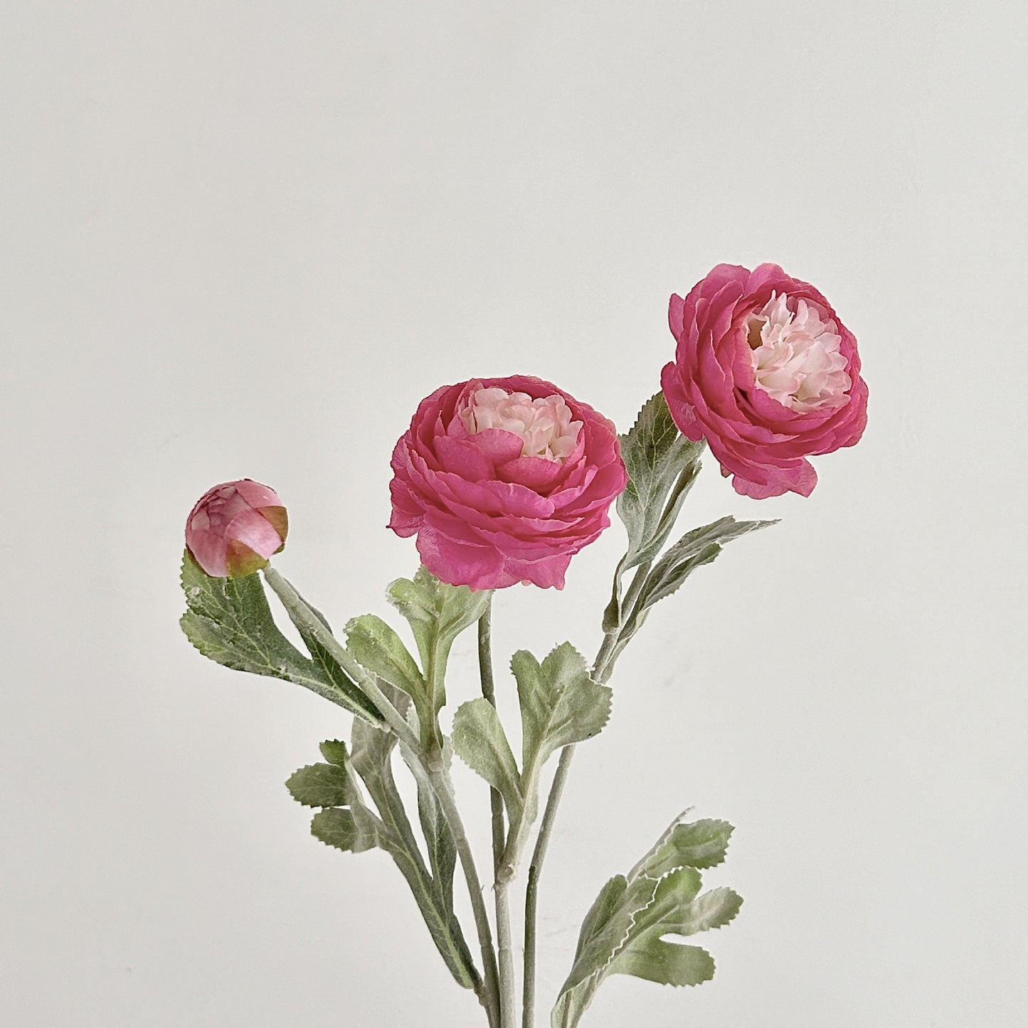 Artificial Silk Ranunculus Stem, 2 Blooms 1 Bud, 50cm, Vase Decor